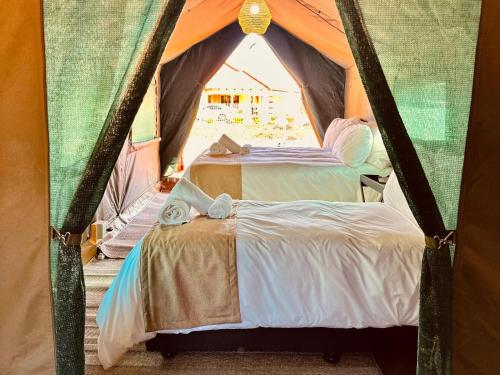Tlou Tribal Lodge in Pilanesberg Nemzeti Park