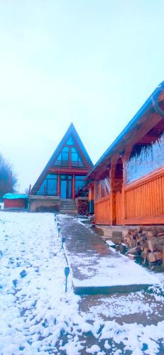 Casuta din LAZ in Oncesti