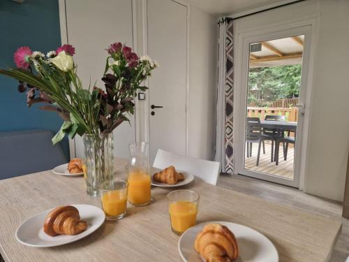 Mobil-home 4pers avec terrasse in Saint-Antoine-de-Breuilh