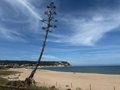Apartamento Calella 4: Cerca del Mar Mascotas Bienvenidas - ES-323-80 - image 2