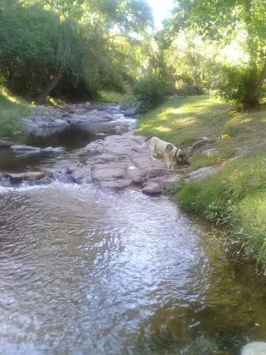 Departamento MGS in Valle Hermoso