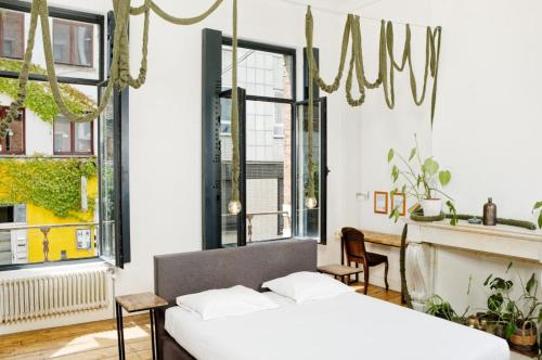 B&B DRUUM, Bruselas (foto 5)