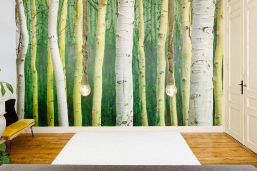 B&B DRUUM, Bruselas (foto 9)