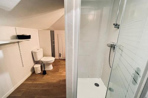 Duplex in the heart of Toulouse, Тулуза (фото 9)