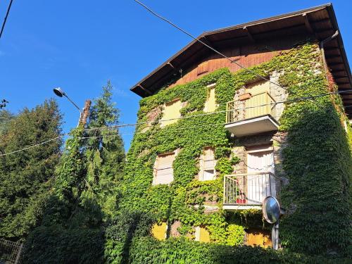 Dinky's apartment with a balcony overlooking the woods in มาเกรกลีโอ