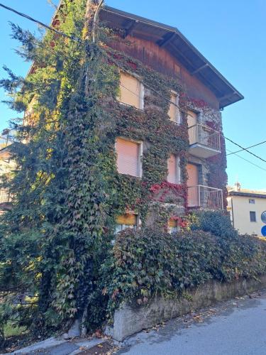 Dinky's apartment with a balcony overlooking the woods in มาเกรกลีโอ
