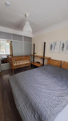 Riga Latvia couzy apartment by Gucha FREE PARKING AVAILABLE, Riga (fotografie 8)