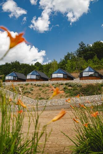 . Bio Resort Čičkova