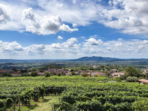 Agriturismo Rive del Bacio - La Dimora - Accommodation - Valdobbiadene