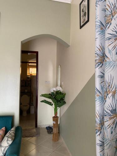 One-Bedroom Apartment image 5