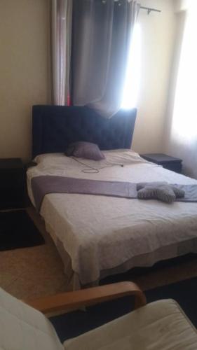 Halima, Agadir