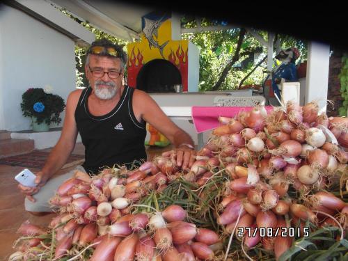海滨居所酒店 海滨居所酒店