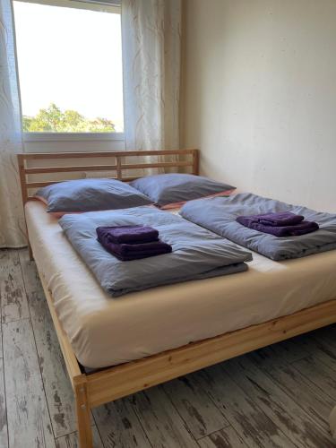 Sweet Home, Drážďany (fotografie 4)