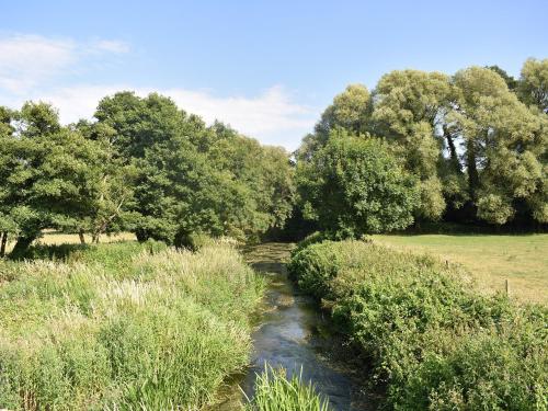 A szálláshely kívülről, Little Thatch in Beaminster