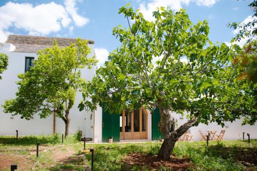 A szálláshely kívülről, Masseria il Pergolo in Mita