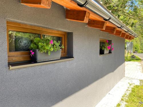 Horský dům pod přehradou u sjezdovky a potůčka v horách (Horsky dum pod prehradou u sjezdovky a potucka v horach) in Český Jiřetín