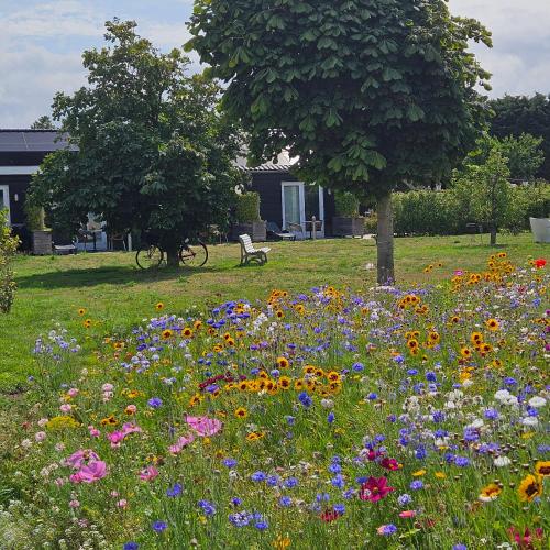  B&B Buutegeweun, Unterkunft in Sommelsdijk