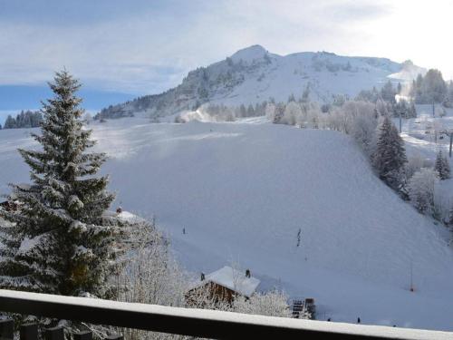 Appartement Le Grand-Bornand 1 pièce 4 personnes - FR-1-241-116 - image 13