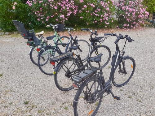 Maison avec jardin - L'Orangerie in Thouare Sur Loire