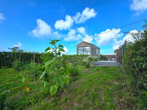 Refúgio da Salga (Refugio da Salga) in ซานตานา