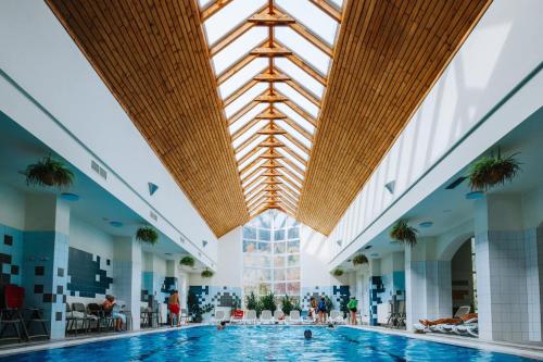 Spa, 瓦納托魯爾旅館 (Pensiunea Vanatorul) in 伯伊萊圖什納德