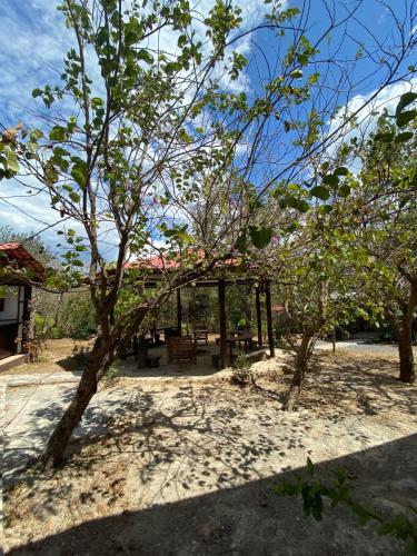 Tiquisia Lodge in Canas