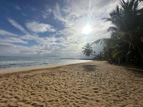 Strand, Kaia Beach Lodge en Cosón (Kaia Beach Lodge en Coson) in Coson Vízpart