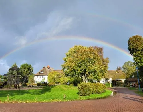 Reethäuser auf Rügen in Middelhagen, Deutschland