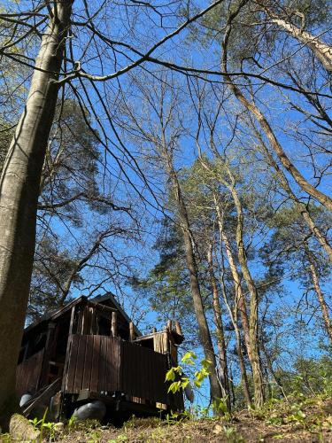 Waldfloß Biberspur in Zieko, Deutschland