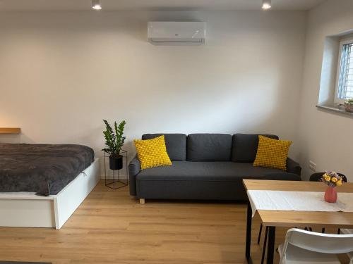 Apartma Tomy