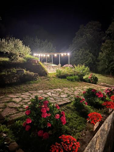 Villa Gianna, Riccò del Golfo di Spezia (fotografie 8)