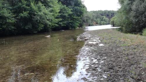 Apartamentos La Eliza - image 14