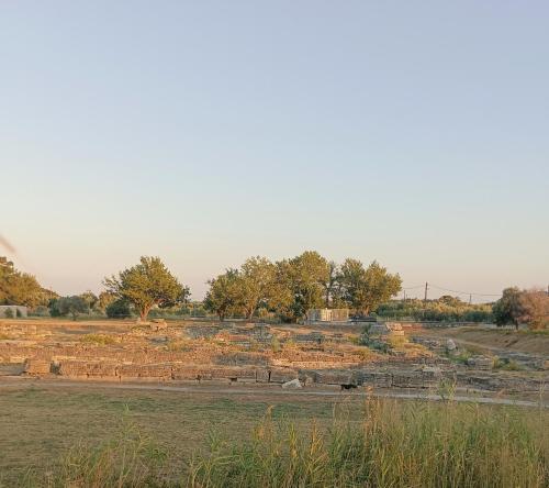 مناطق جذب قريبة, Maki'shouse in Kolona