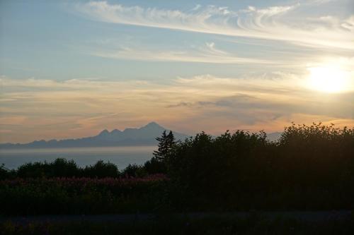 . Touch of Alaska Volcano Vista