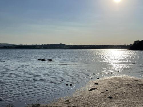 Viesnīcas āriene, Noflash Malpal in Stowey