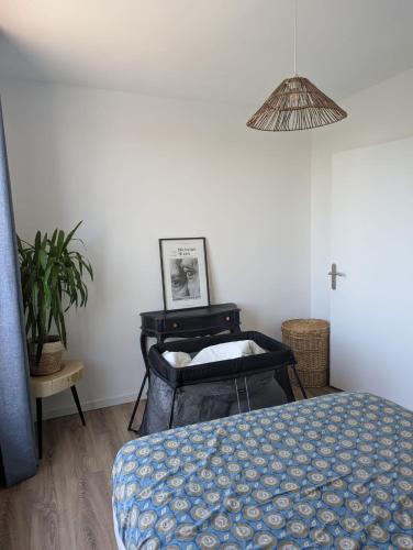 Une chambre à louer, Toulouse (photo 6)