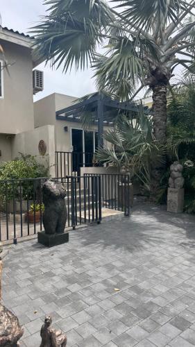 StudioCuracao in คูราเคา