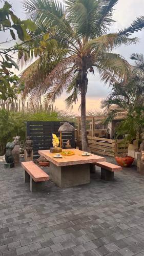 StudioCuracao in คูราเคา