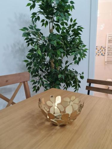 fly zone Capodichino in Аэропорт