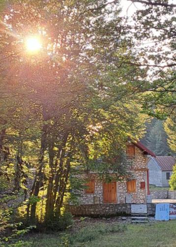 VD Forest villa in Kopito