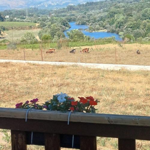 Casa Cany in บาร์เรย์โรส