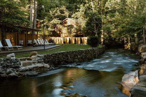 Water View Cabin - Fishing Lake - Groundhog Cabin - image 11