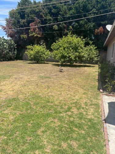 BACK HOUSE in PASADENA, Pasadena (fotografie 10)