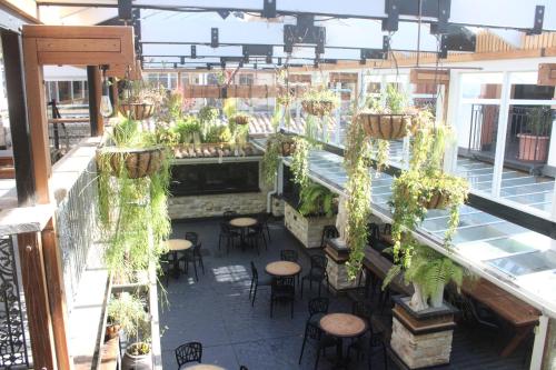 Ettalong Beach Tourist Resort in Merkez Sahil