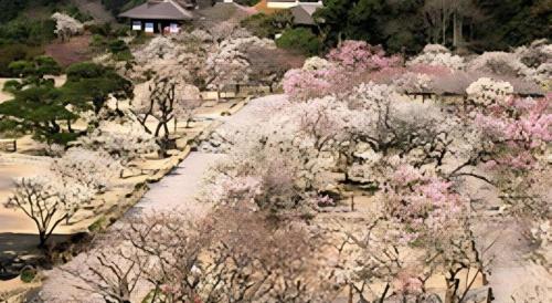 Mimatsu Annex