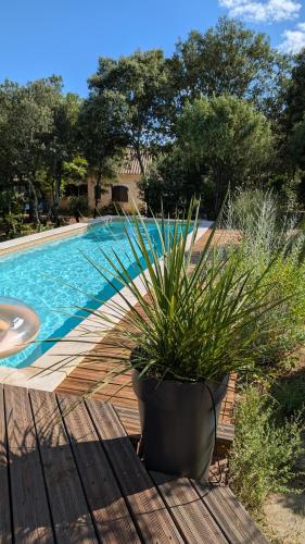 Roulotte romantique avec piscine en Cévennes (Roulotte romantique avec piscine en Cevennes) in 聖依波耶的卡頓