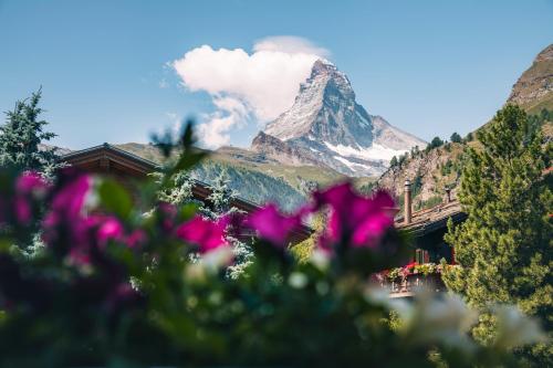 Hotel Eden Wellness, Zermatt (zdjęcie 3)