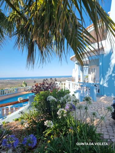 Villa Quinta da Violeta gîte à louer Cerro de Alfeição