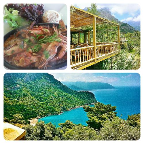 A Hotel Com Olive Garden Kabak Holiday Park Faralya Turkey