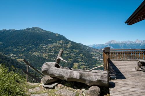 Aeolus MOUNTAIN & QUIET chalet 12 pers - image 9